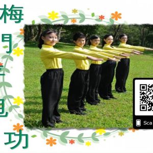 梅門平甩功 Meimen Pingshuai