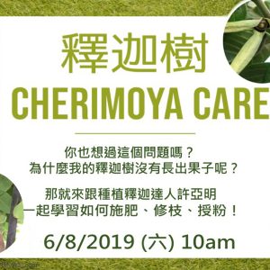園藝課程: 釋迦樹 Care Tips for Cherimoyas