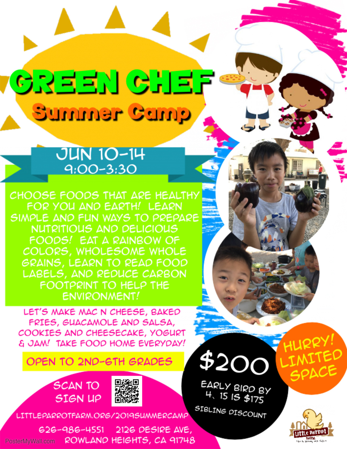 Summer Camp - Green Chef