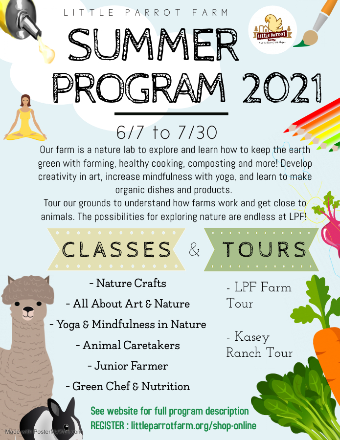 2021 Summer Camp at Little Parrot Farm 小鸚鵡農場 暑期營