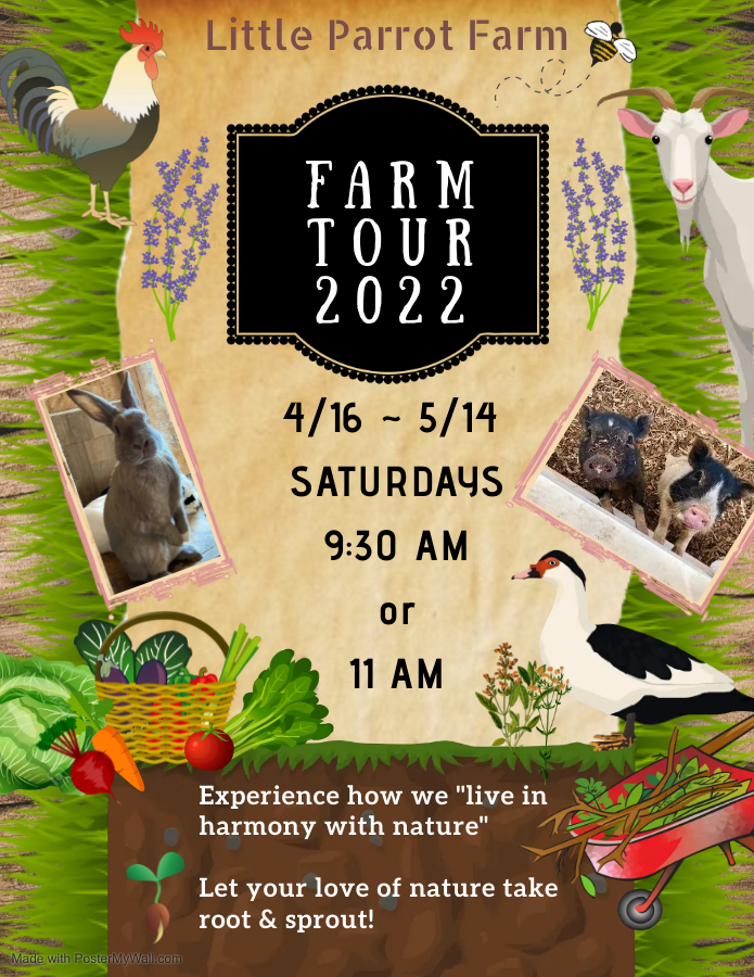 2022 Farm Tour Every Saturday