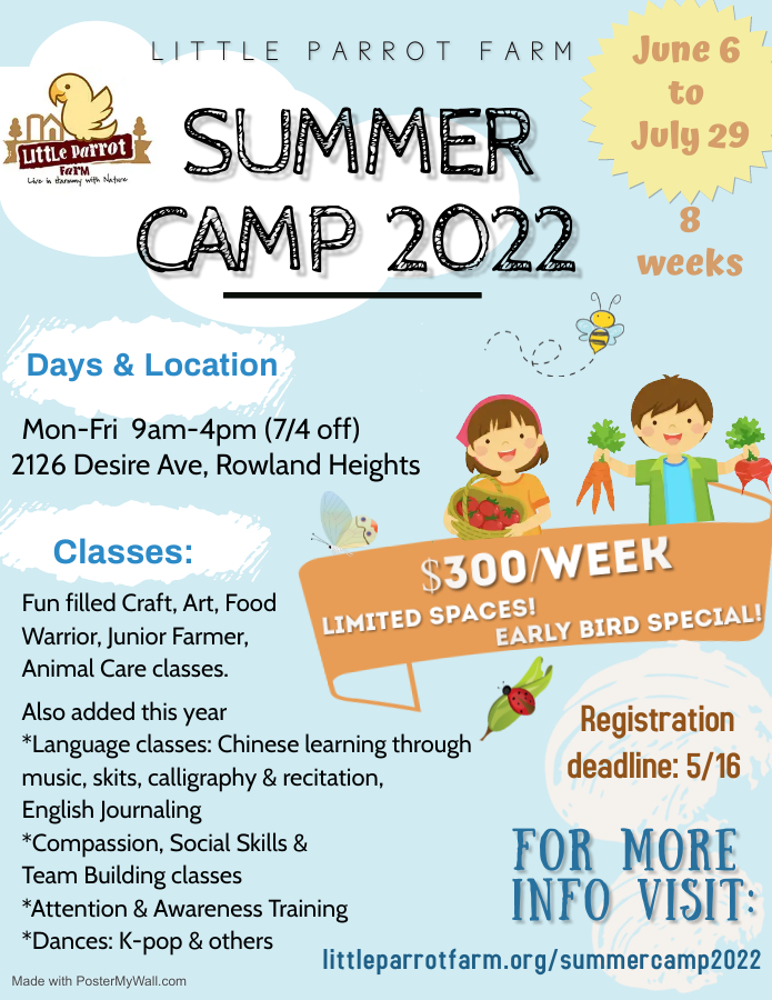 2022 Summer Camp at Little Parrot Farm - English Flyer