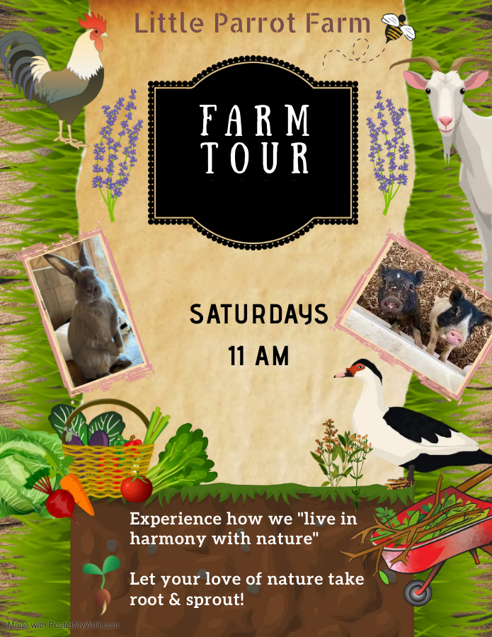 farm tour