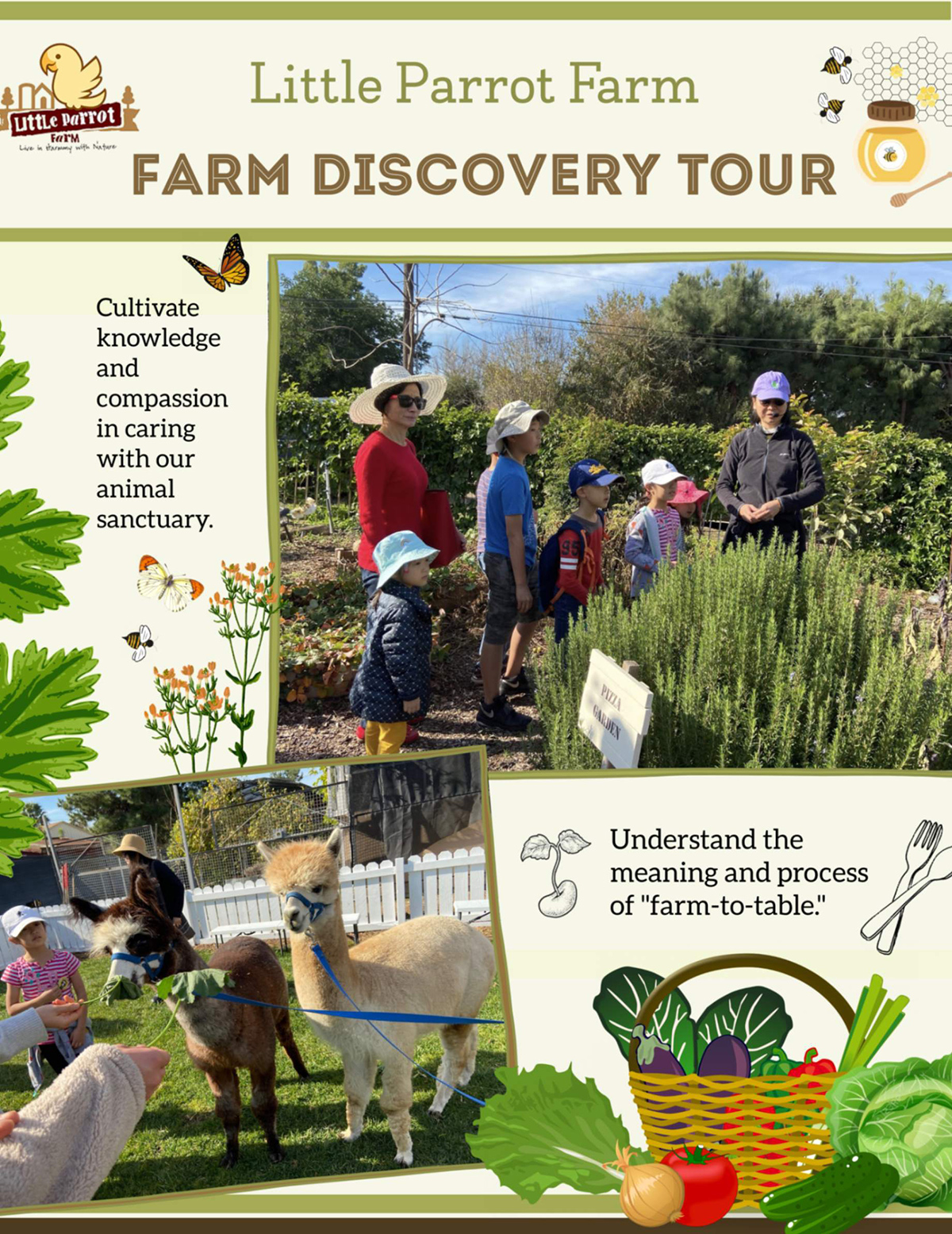 Little Parrot Farm_School Tours and Field Trips