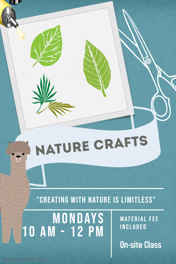 Summer Camp_Nature Craft & Animals_Monday 10am