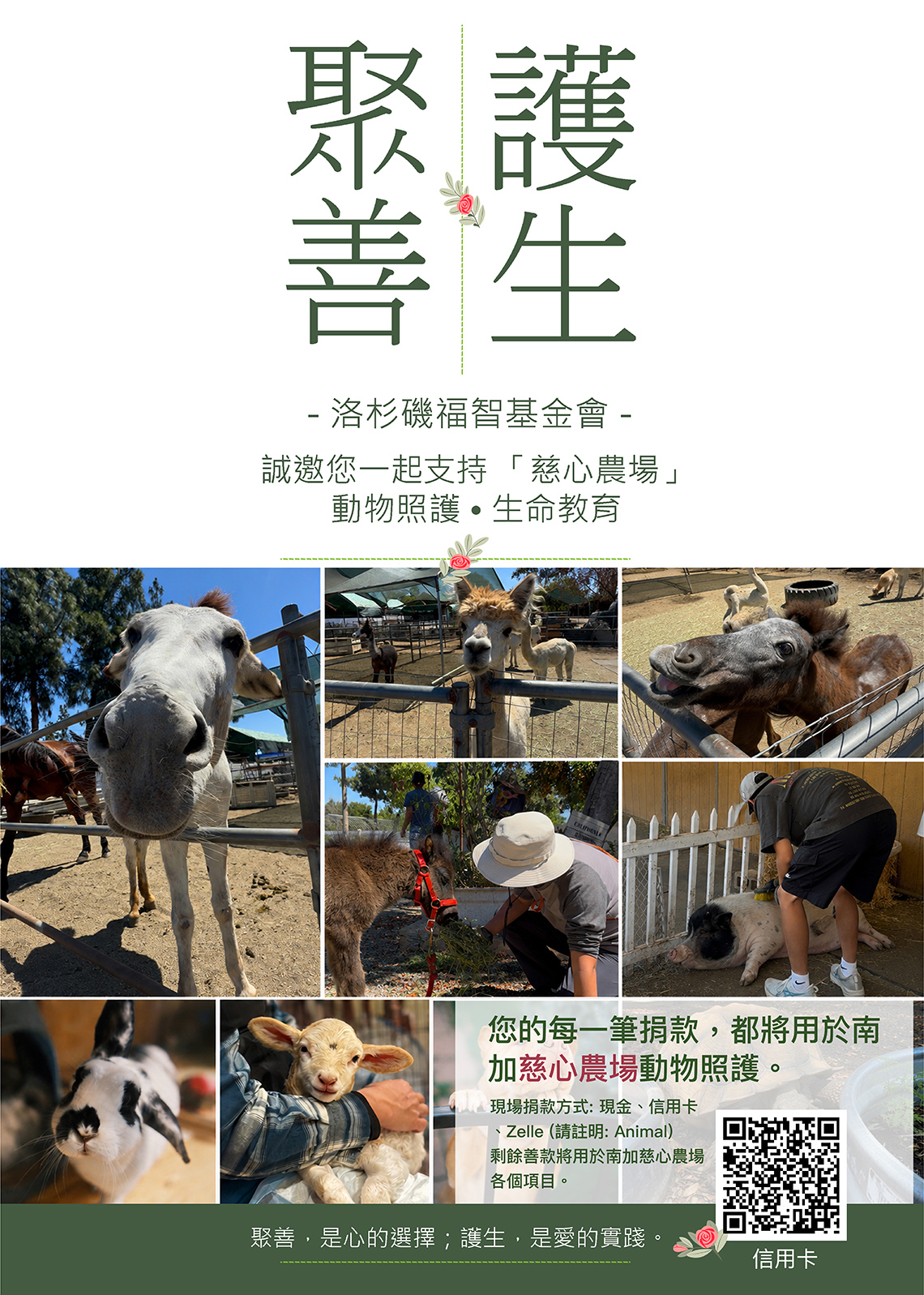 聚善護生 慈心農場動物照護 Animal Care