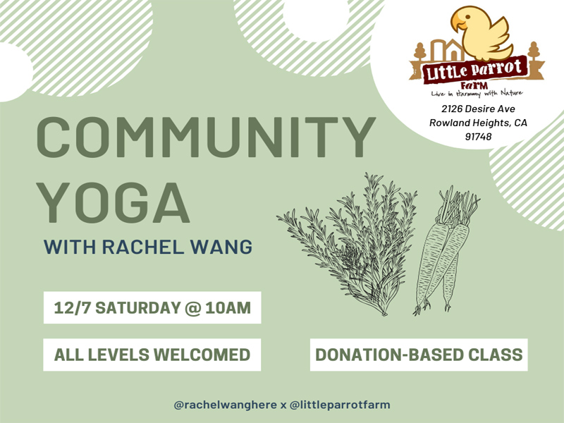 Yoga Saturday at Little Parrot Farm