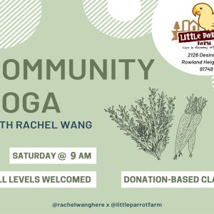 Little Parrot Farm-Yoga Saturday 9am