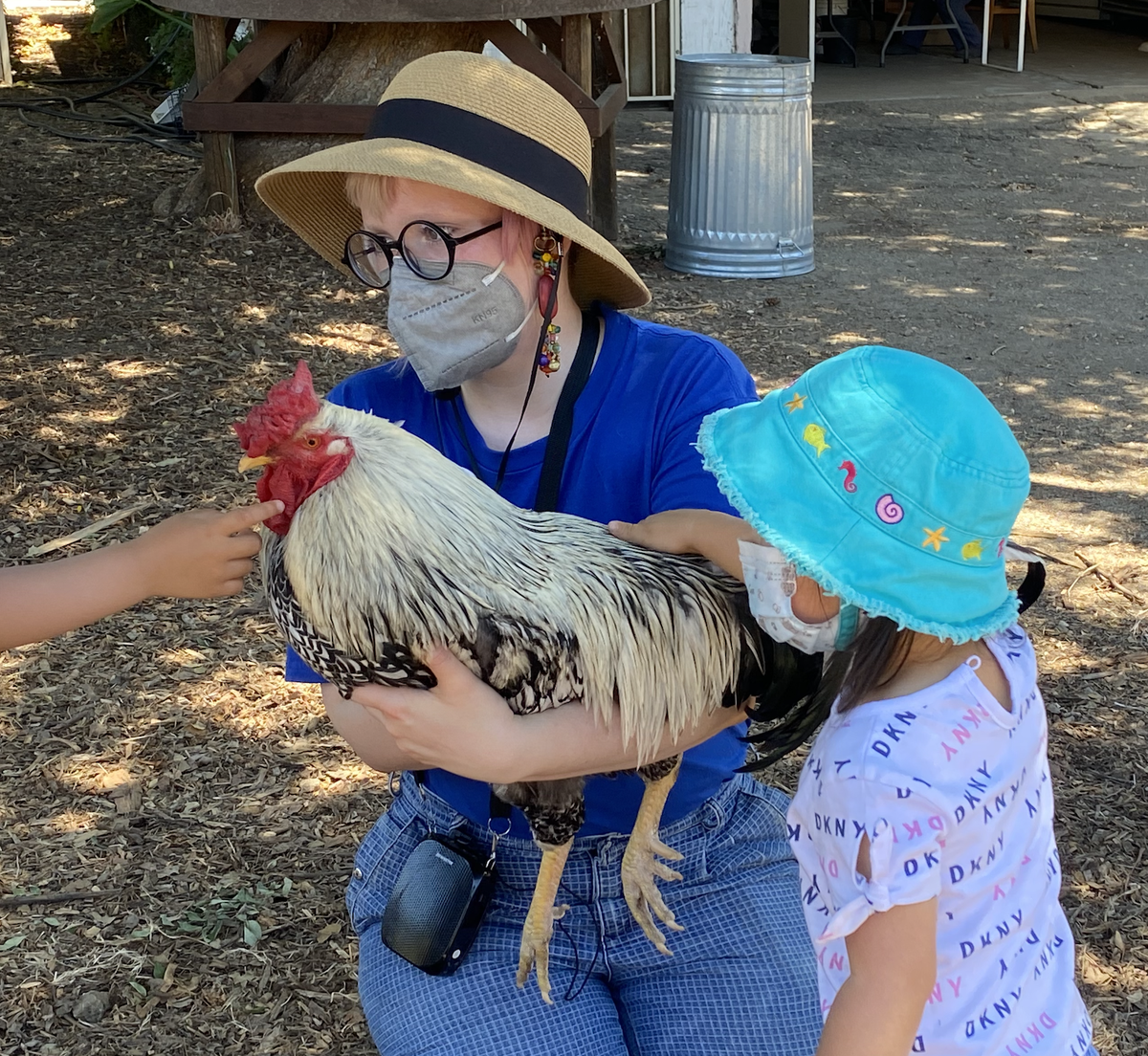 Little Parrot Farm Tour