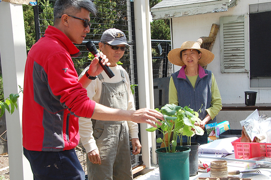 小鸚鵡農場 園藝入門 Gardening 101