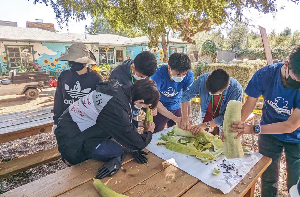 high school program at Little Parrot Farm