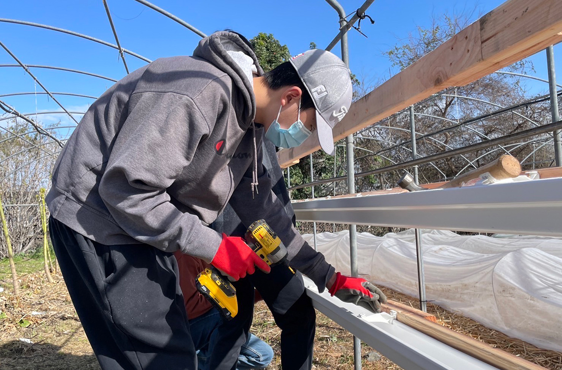 high school program at Little Parrot Farm