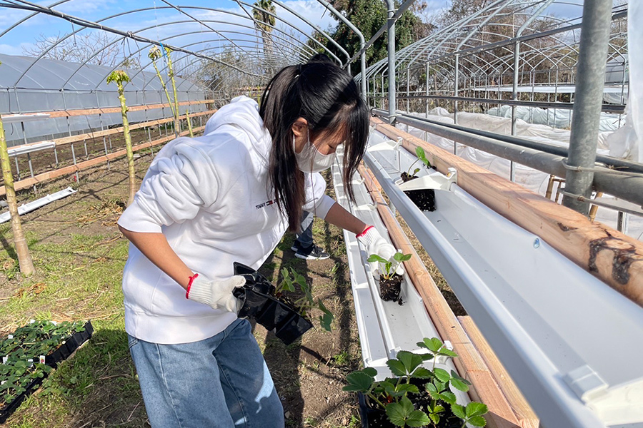 high school program at Little Parrot Farm