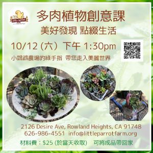 多肉植物創意課 Succulent Arrangement Workshop