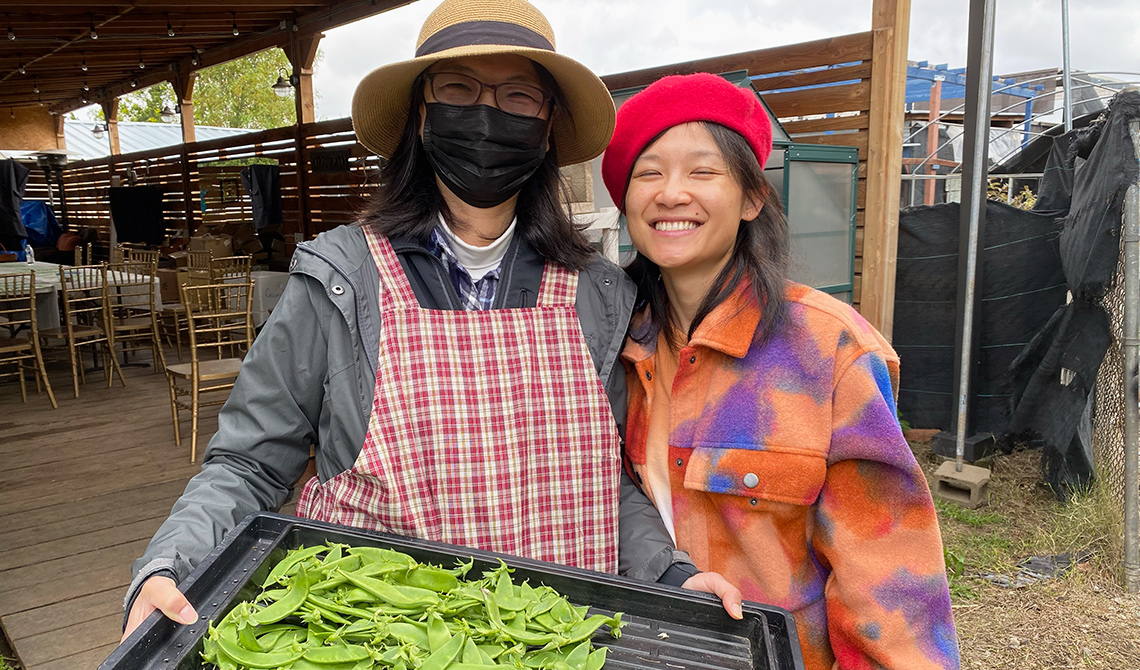 Little Parrot Farm - volunteering program