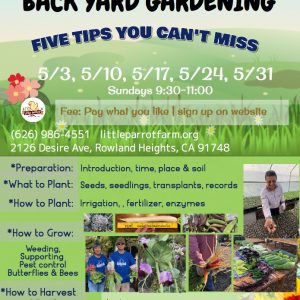 Back yard gardening online_Sunday, May 2020