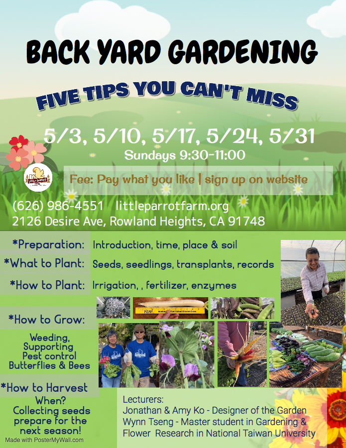 Back yard gardening online_Sunday, May 2020