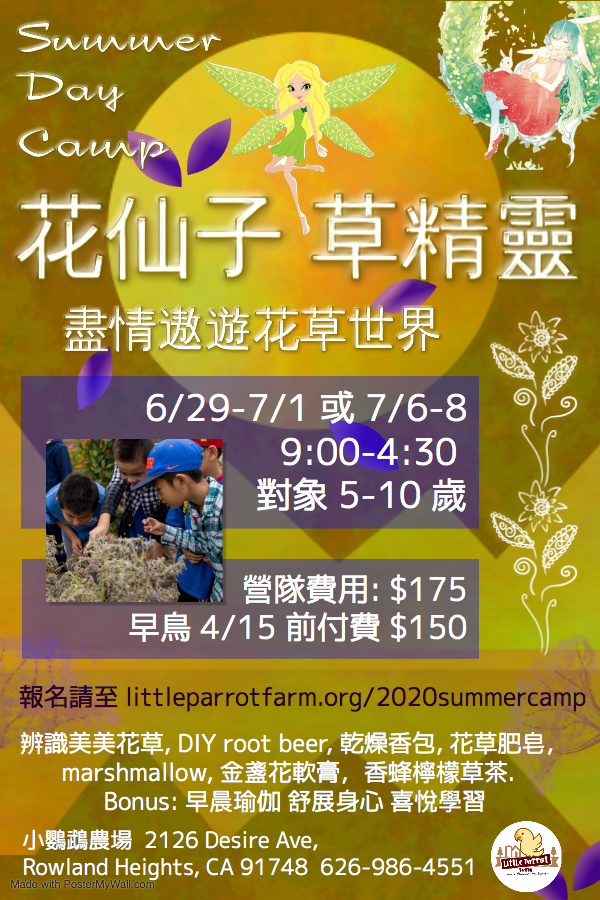 2020 Summer Camp - Fairies and Elves 花仙子、草精靈暑期夏令營