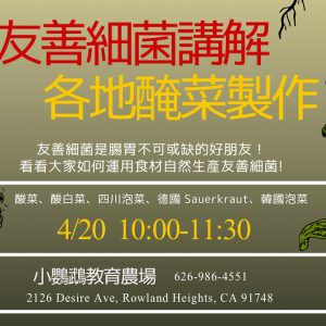 友善細菌講解及各地醃菜製作 pickles production